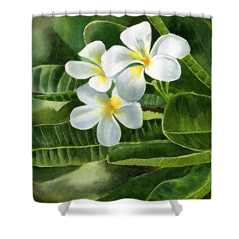 Fragipani Shower Curtain featuring the painting White Plumeria Flowers by Sharon Freeman
