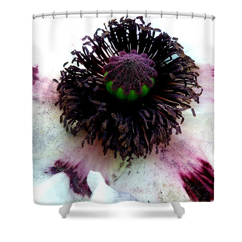 White Shower Curtain featuring the photograph White Poppy Macro by Angel One