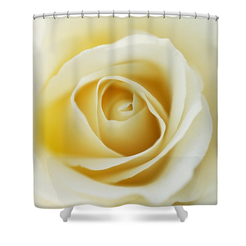 00283571 Shower Curtain featuring the photograph White Rose In Bloom by Jan Vermeer