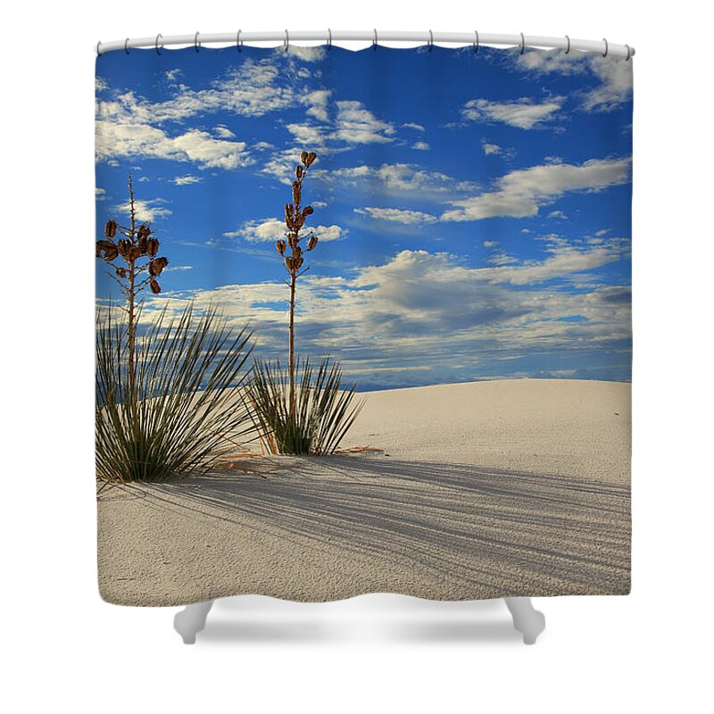White Sands Shower Curtain featuring the photograph White Sands Afternoon 2 by Alan Vance Ley