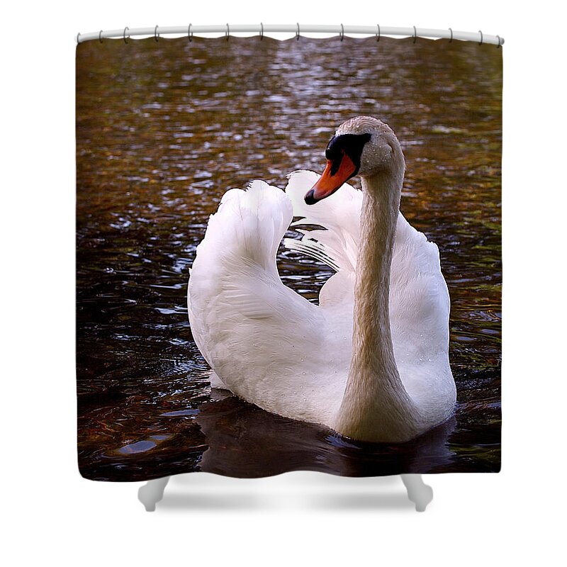 Swan Shower Curtain featuring the photograph White Swan by Rona Black