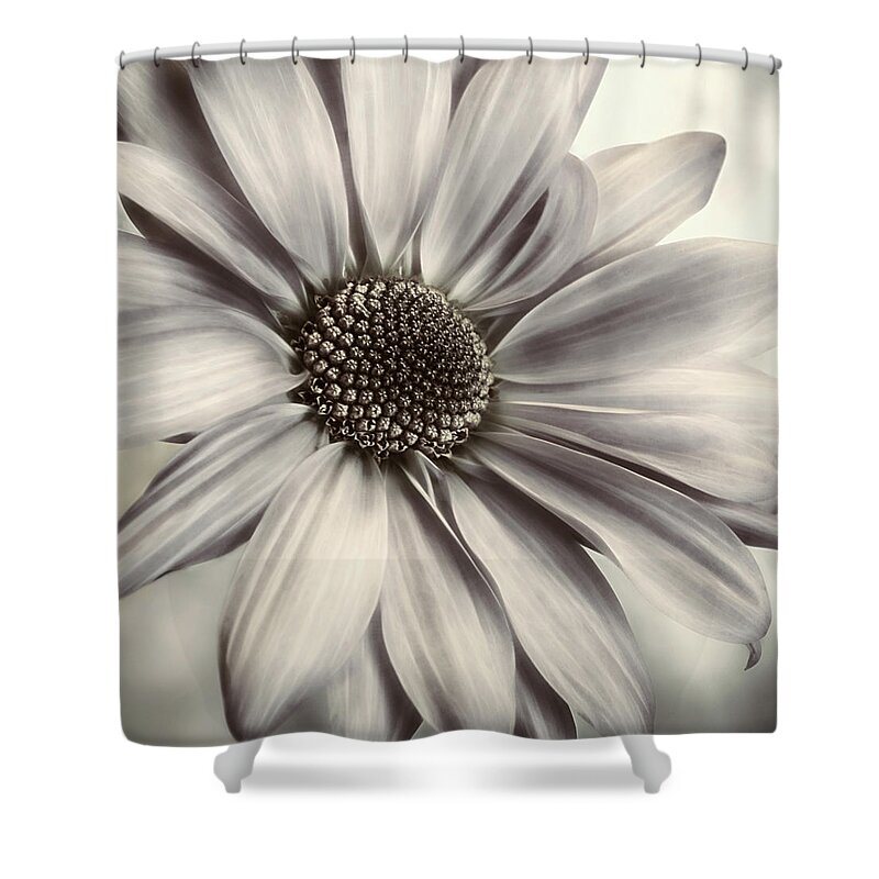 Floral Shower Curtain featuring the photograph White Tie and Tails by Darlene Kwiatkowski