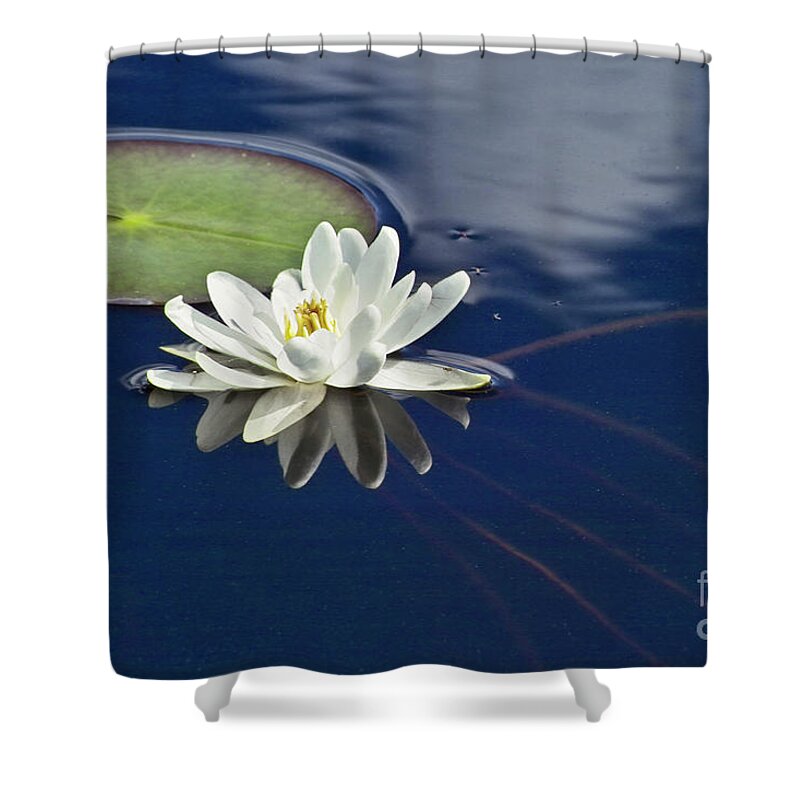 Water Llilies Shower Curtain featuring the photograph White Water Lily by Heiko Koehrer-Wagner