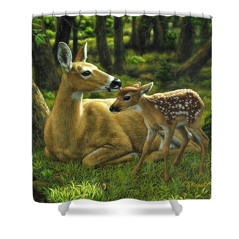 Deer Shower Curtain featuring the painting Whitetail Deer - First Spring by Crista Forest