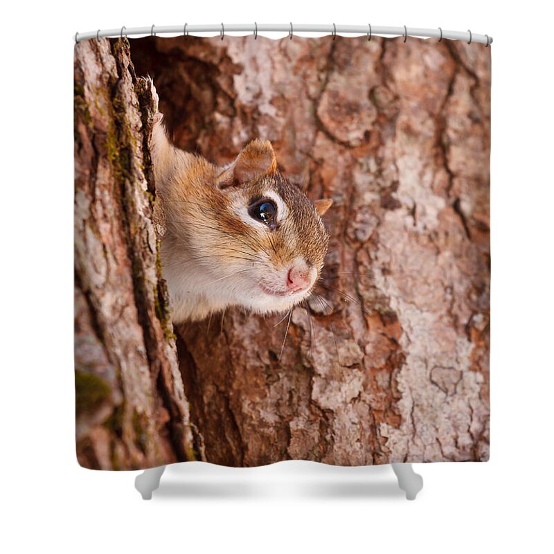 Castle In The Clouds Shower Curtain featuring the photograph Whos That Knocking On My Door by Jeff Sinon