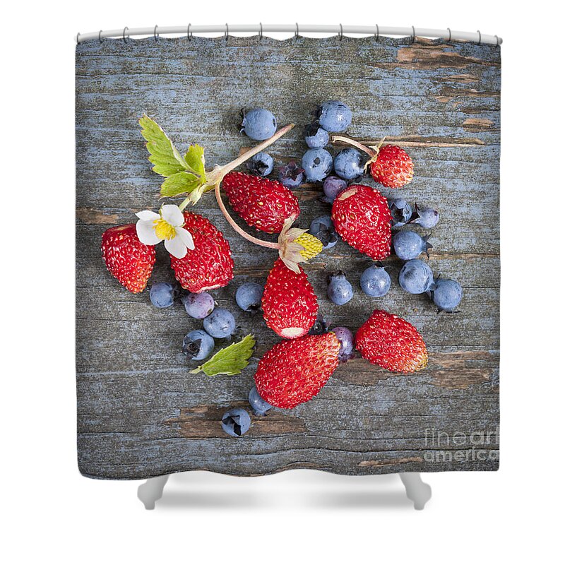 Berries Shower Curtain featuring the photograph Wild berries by Elena Elisseeva