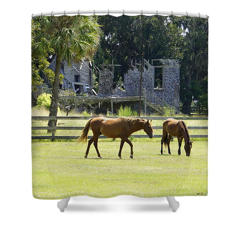 Cumberland Island Shower Curtain featuring the photograph Wild Cumberland by Laurie Perry