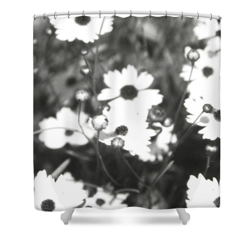Found These Along A Florida Highway In Central Florida Shower Curtain featuring the photograph Wild Florida Brown Eyed Susan by Belinda Lee