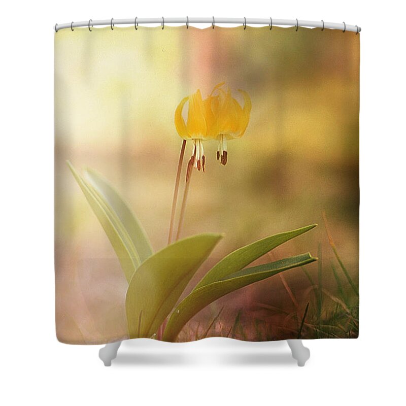 Wild Flower Dream Shower Curtain featuring the photograph Wild Flower Dream I I by Sharon Elliott