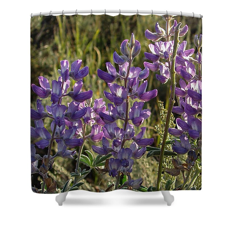 Flowers Shower Curtain featuring the photograph Flowers In The Wild by Carl Moore