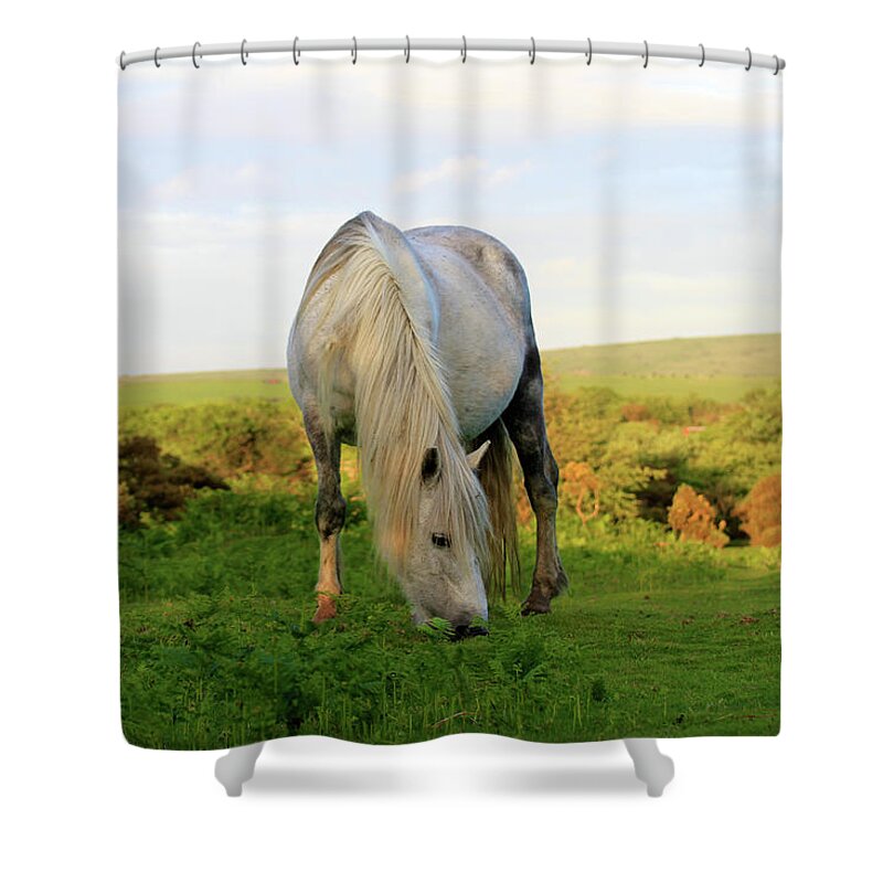 Horse Shower Curtain featuring the photograph Wild Horses In Cornwall, Uk by Www.bridgetdavey.com