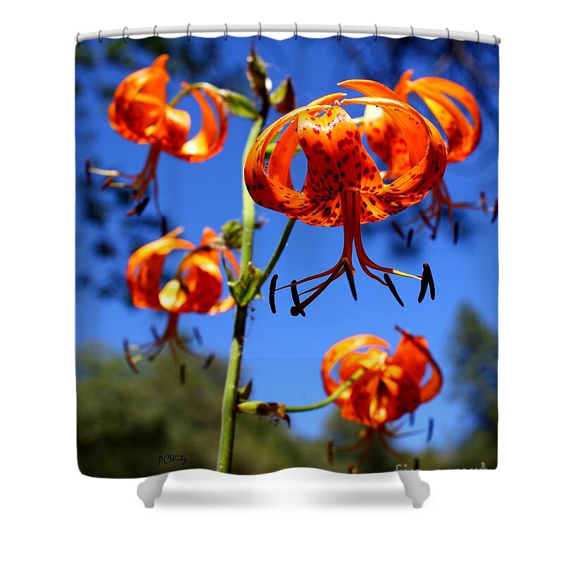 Alien Wild Lily Shower Curtain featuring the photograph Wild Lily by Patrick Witz