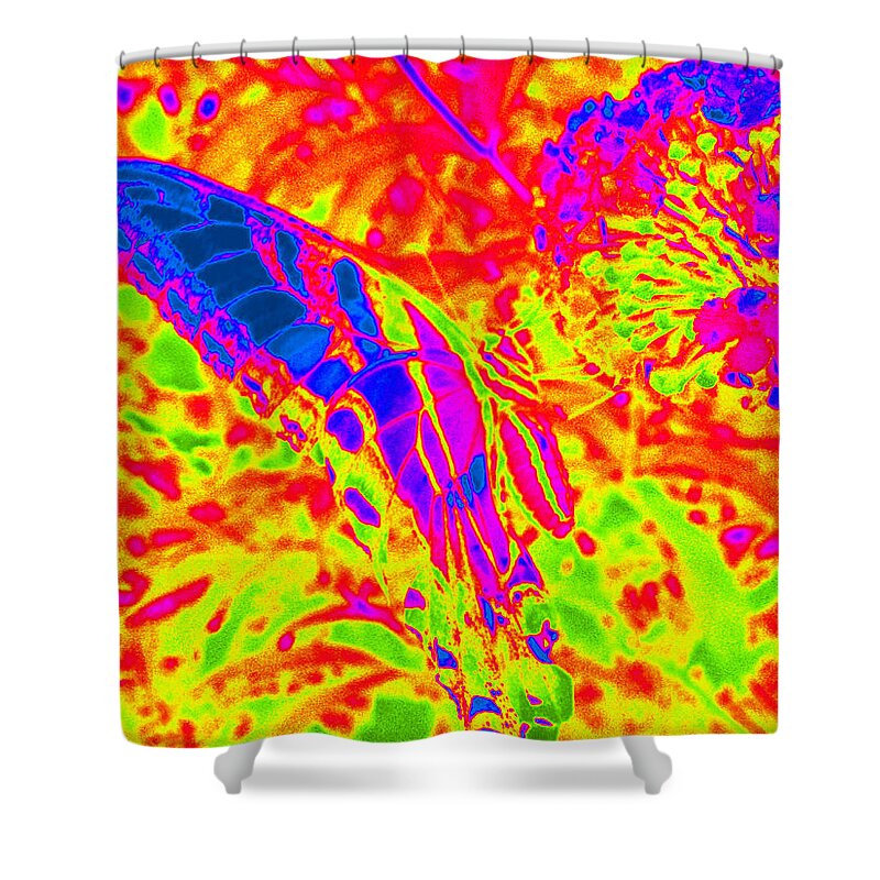 Monarch Butterfly Shower Curtain featuring the photograph Wild n Crazy Butterfly by Kim Galluzzo