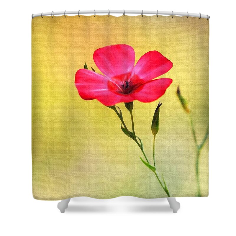 Wild Red Flower Shower Curtain featuring the photograph Wild Red Flower by Tom Janca