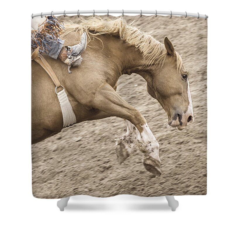 Rodeo Shower Curtain featuring the photograph Wild Ride by Caitlyn Grasso