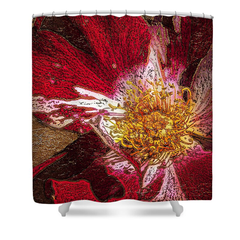 Flower Shower Curtain featuring the photograph Wild Rose Gold Leaf by Phyllis Denton