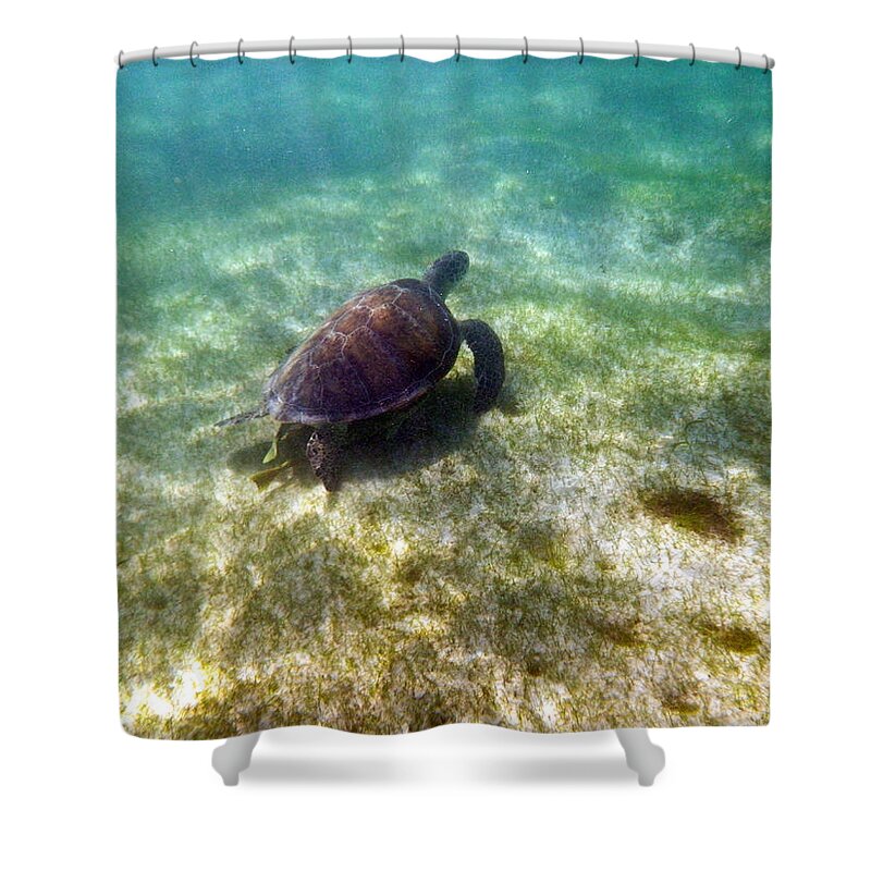Sea Shower Curtain featuring the photograph Wild sea turtle underwater by Eti Reid