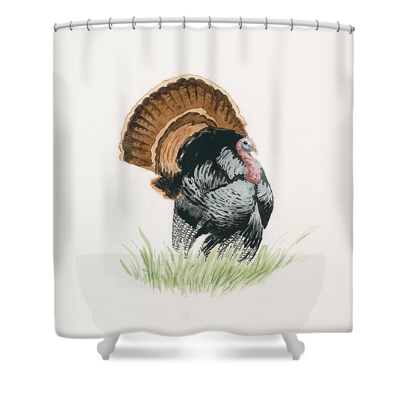 Wild Turkey Shower Curtain featuring the painting Wild Turkey by Timothy Livingston