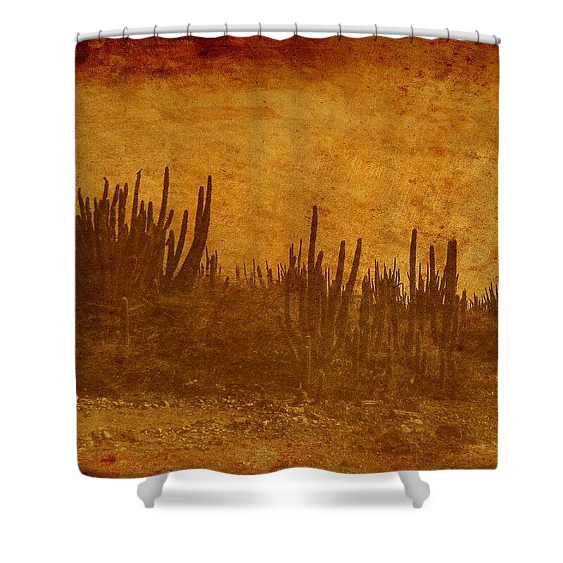 Wild West Shower Curtain featuring the photograph Wild West Ia by Anita Lewis