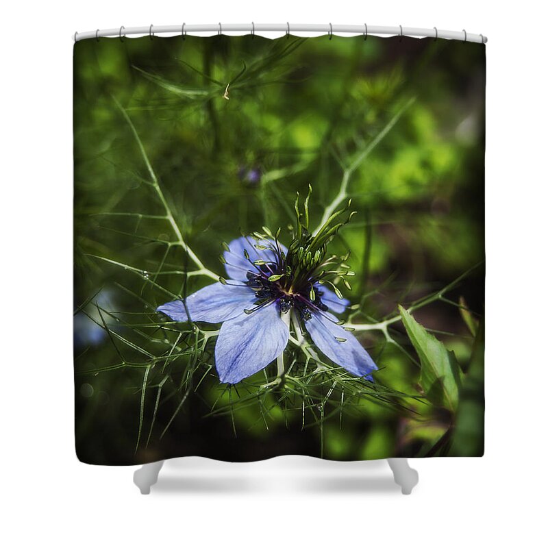 Wildflower Shower Curtain featuring the photograph Wildflower by B Cash