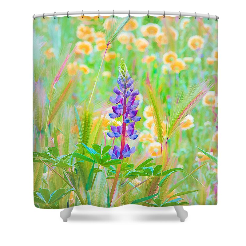 California Wildflowers Shower Curtain featuring the photograph Wildflower Meadow - Spring in Central California by Ram Vasudev
