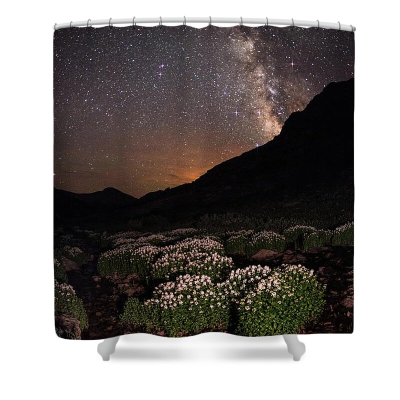 Tranquility Shower Curtain featuring the photograph Wildflower Runoff Under The Stars by Mike Berenson / Colorado Captures