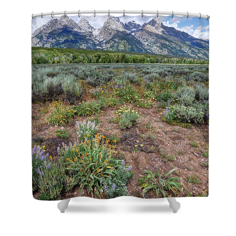 Grand Teton Shower Curtain featuring the photograph Wildflowers Bloom Below Teton Mountain Range by Gary Whitton