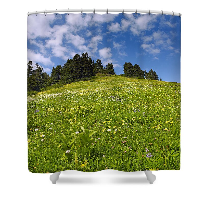 Flowers Shower Curtain featuring the photograph Wildflowers in North Cascades - Washington by Brendan Reals
