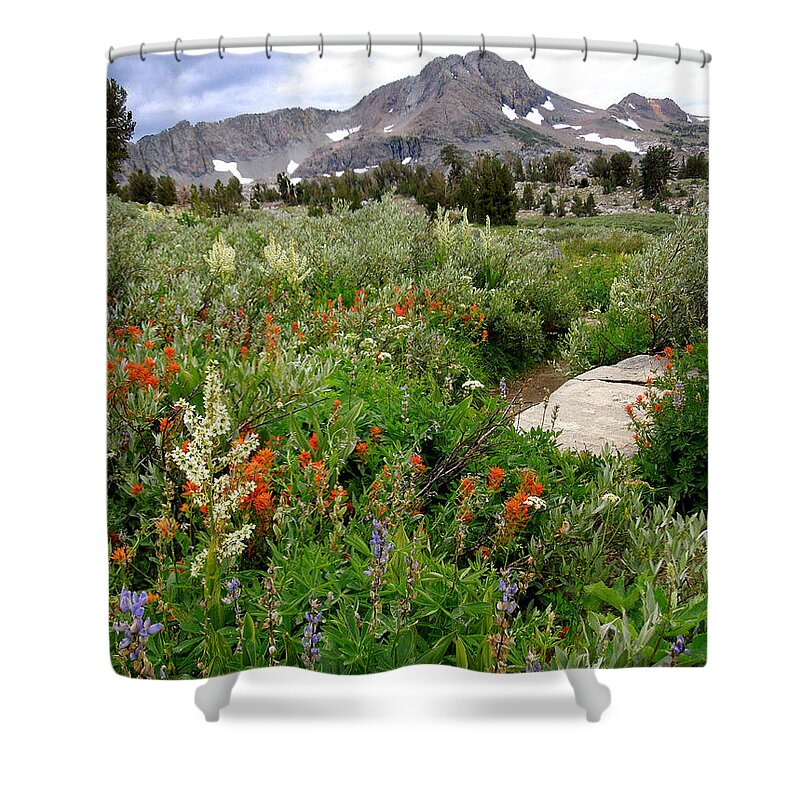 Wildflowers Shower Curtain featuring the photograph Wildflowers on Display by Alan Socolik