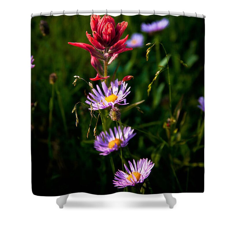 Landscape Shower Curtain featuring the photograph Wildflowers by Steven Reed