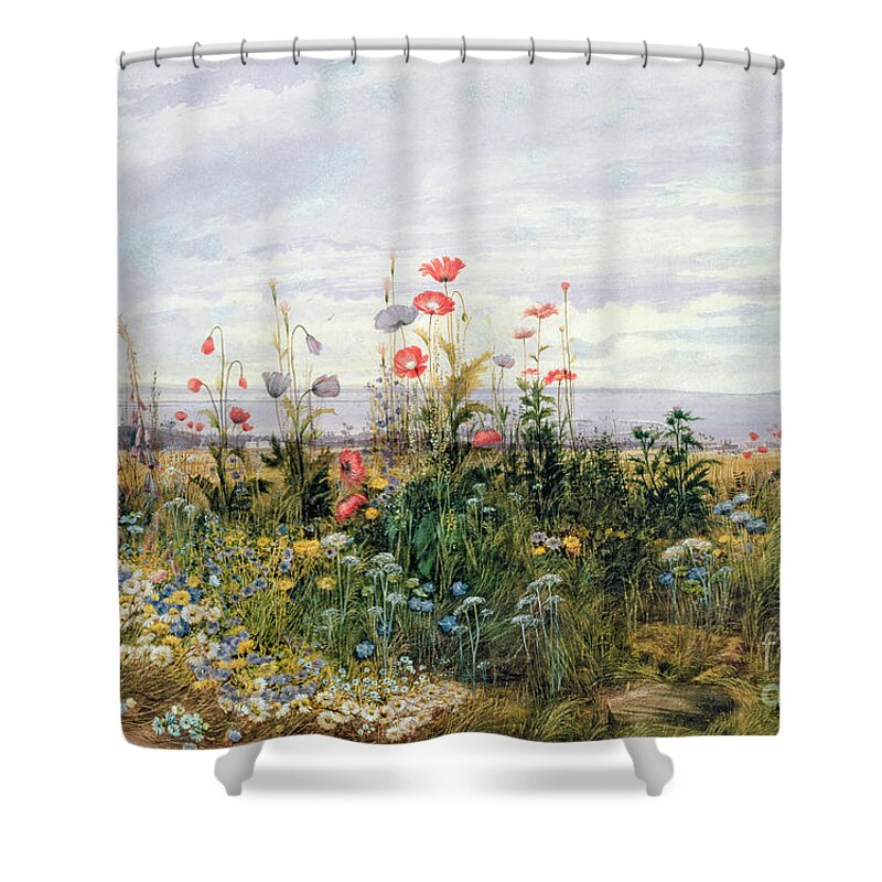 Meadow; Flowers; Irish; Wild; Landscape; Poppies Shower Curtain featuring the painting Wildflowers with a View of Dublin Dunleary by A Nicholl