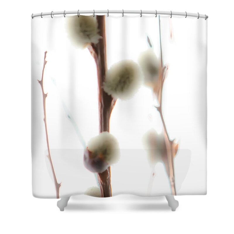 Pussy-willow Shower Curtain featuring the photograph Willow On White by Michael Arend