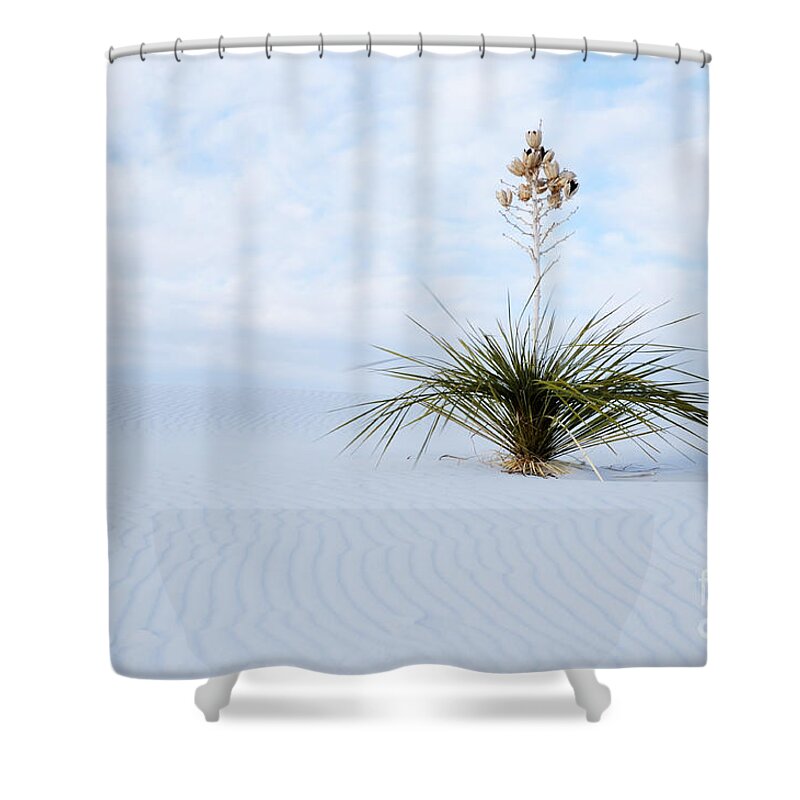 Yucca Shower Curtain featuring the photograph Windblown Yucca by Vivian Christopher