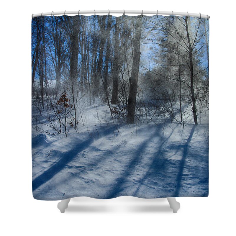 Windy Winter Shower Curtain featuring the photograph Windy Winter by Karol Livote