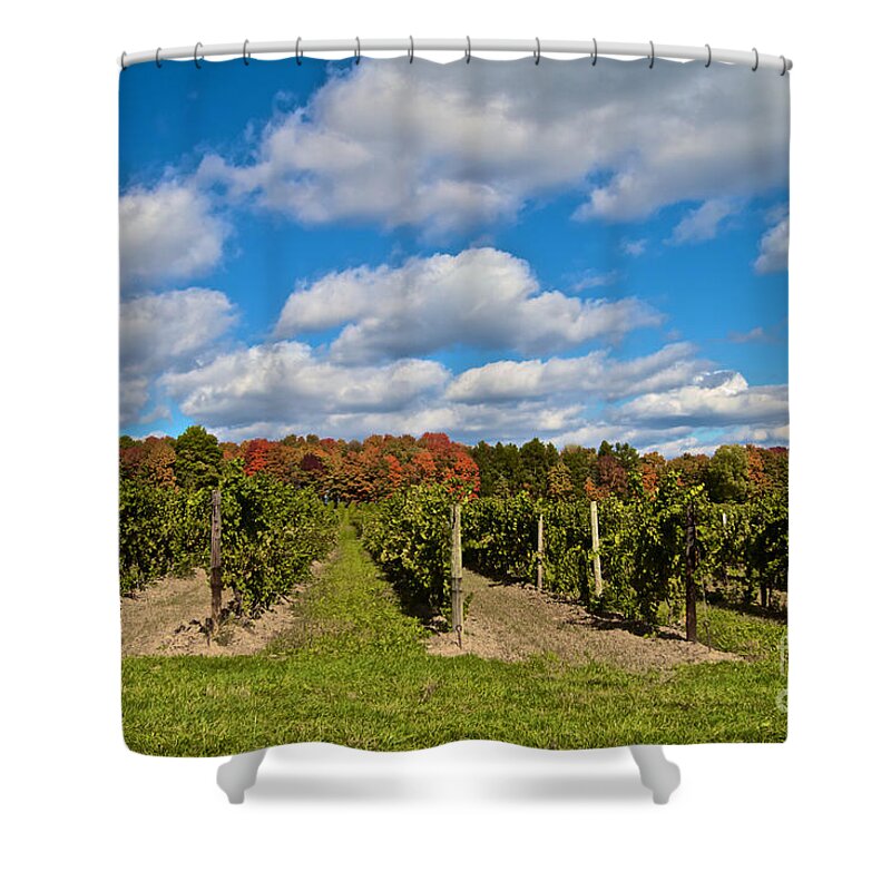 Finger Lakes Shower Curtain featuring the photograph Wine in Waiting by William Norton