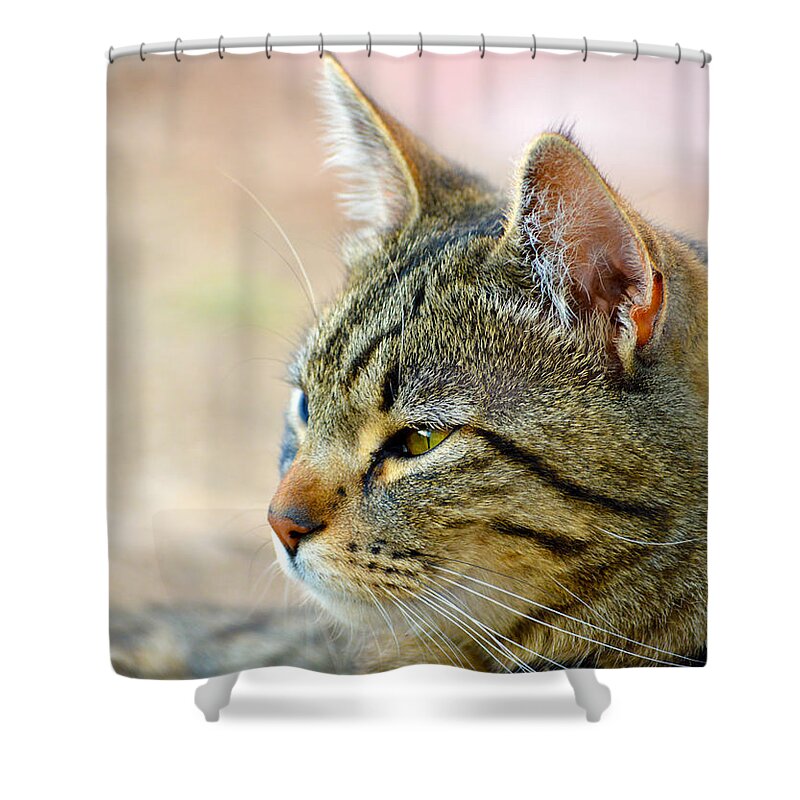 Eyes Shower Curtain featuring the photograph Winston 7 by Brent Dolliver
