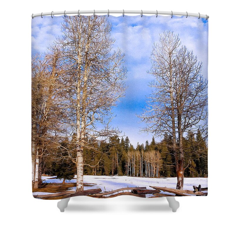 Nature Shower Curtain featuring the photograph Winter Birch by Kathleen Bishop