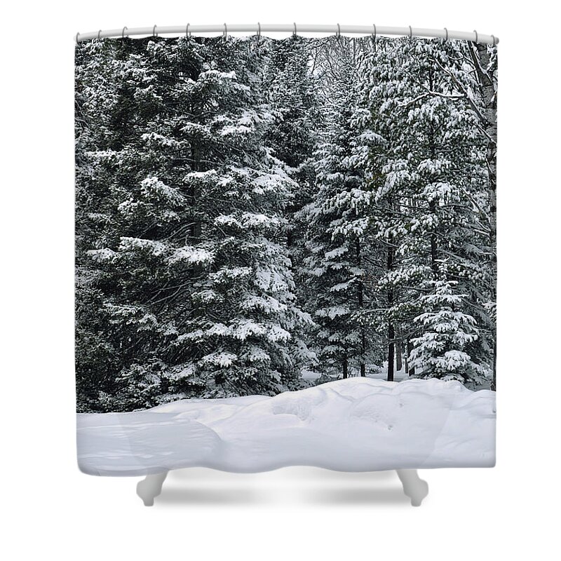 Winter Scene Photo Shower Curtain featuring the photograph Winter Bliss by Gwen Gibson
