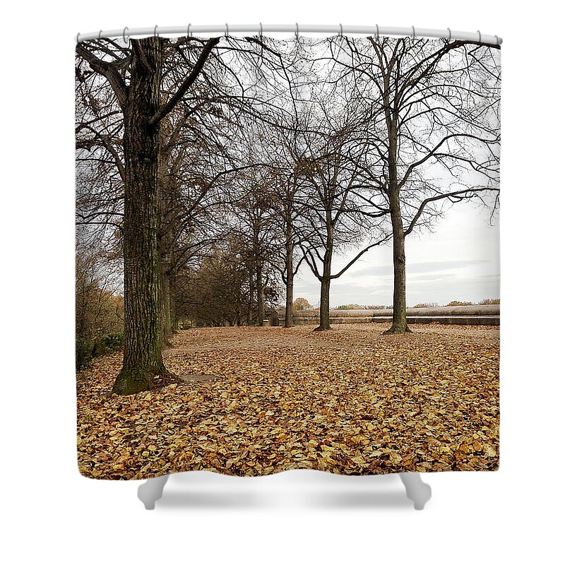 Fall Shower Curtain featuring the photograph Winter calling by Ivy Ho