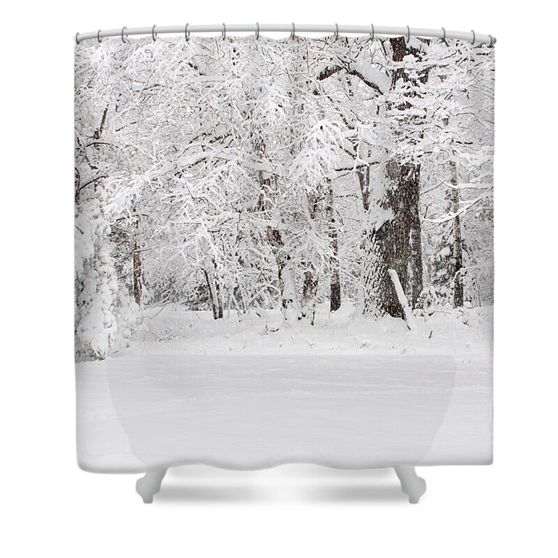 Winter Wonderland Shower Curtain featuring the photograph Winter Canvas by Gwen Gibson