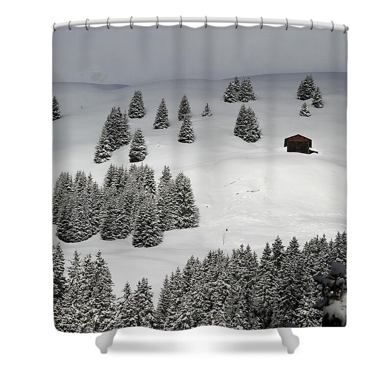 Scenics Shower Curtain featuring the photograph Winter Chalet Amidst The Trees On Snowy by Gerhard Fitzthum