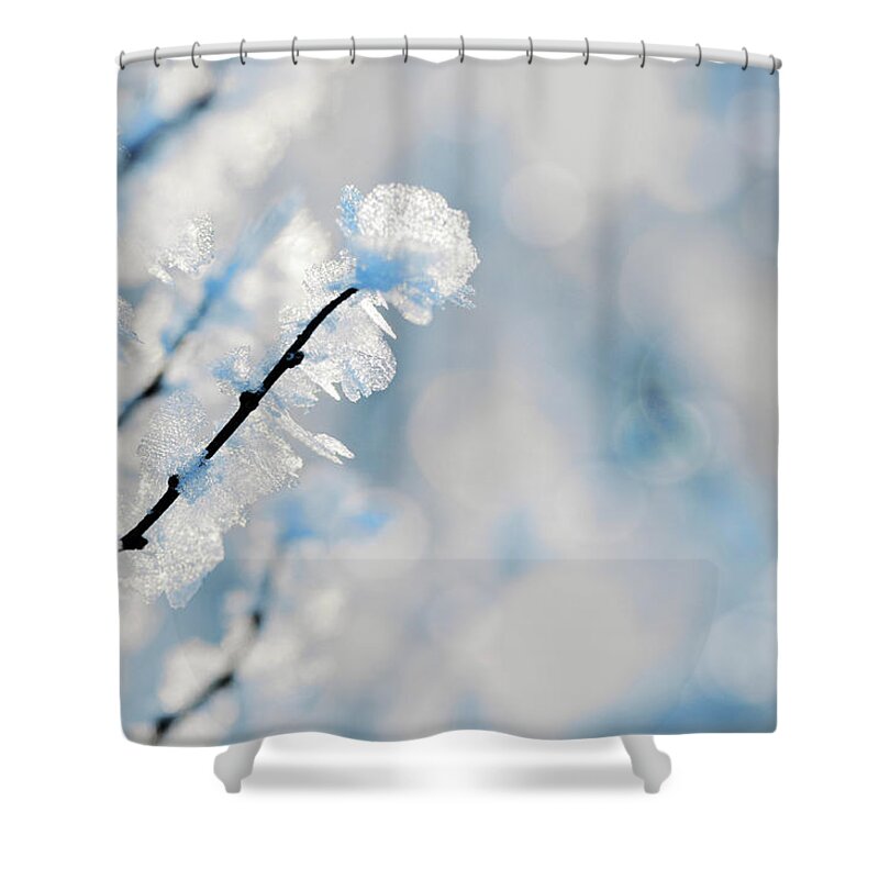 Shadow Shower Curtain featuring the photograph Winter by Elenaleonova