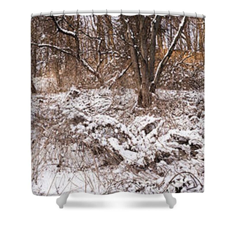 Winter Shower Curtain featuring the photograph Winter forest panorama by Elena Elisseeva