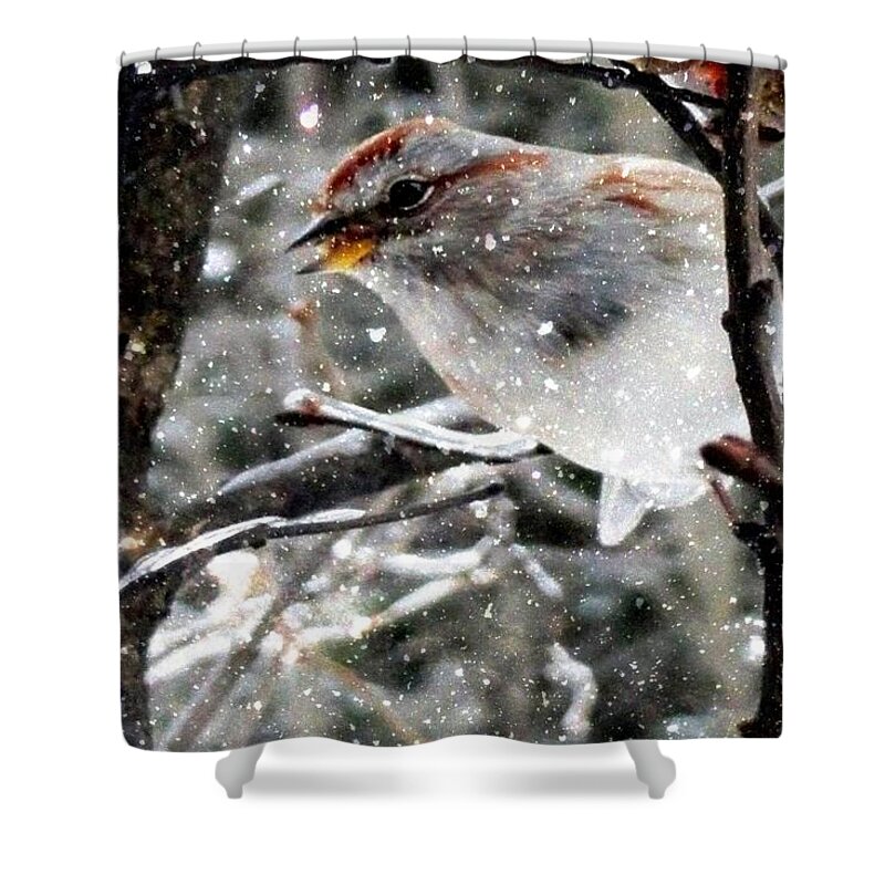 Winter Greetings Shower Curtain featuring the photograph Winter Greetings by Mike Breau
