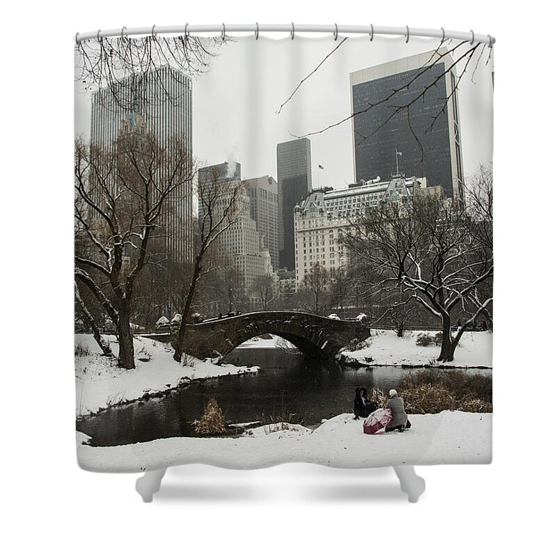 2013 Shower Curtain featuring the photograph Winter in Central Park by Theodore Jones