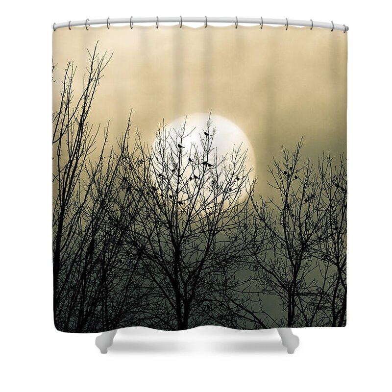 Uplifting Photos Shower Curtains