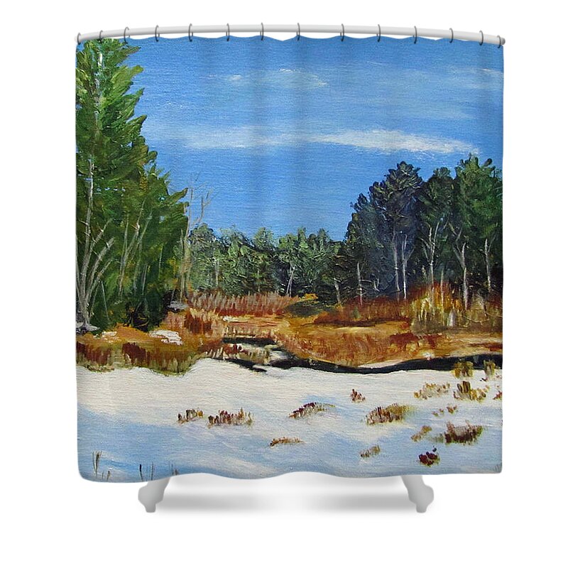 Landscape Shower Curtain featuring the painting Winter Marsh in Hooksett by Linda Feinberg