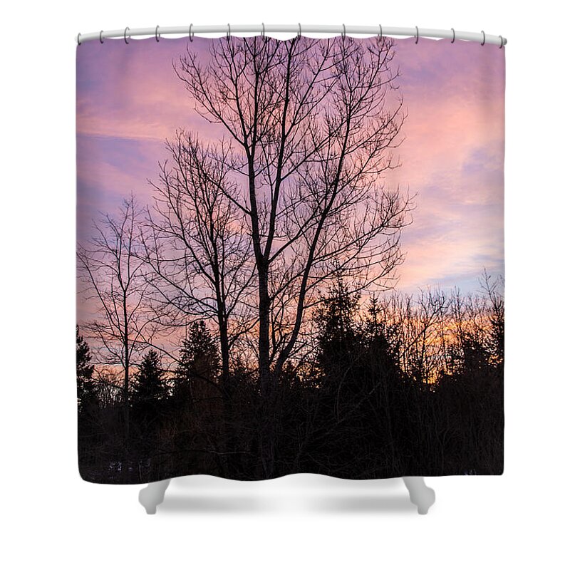 Winter Shower Curtain featuring the photograph Winter Morning Sky by Cheryl Baxter