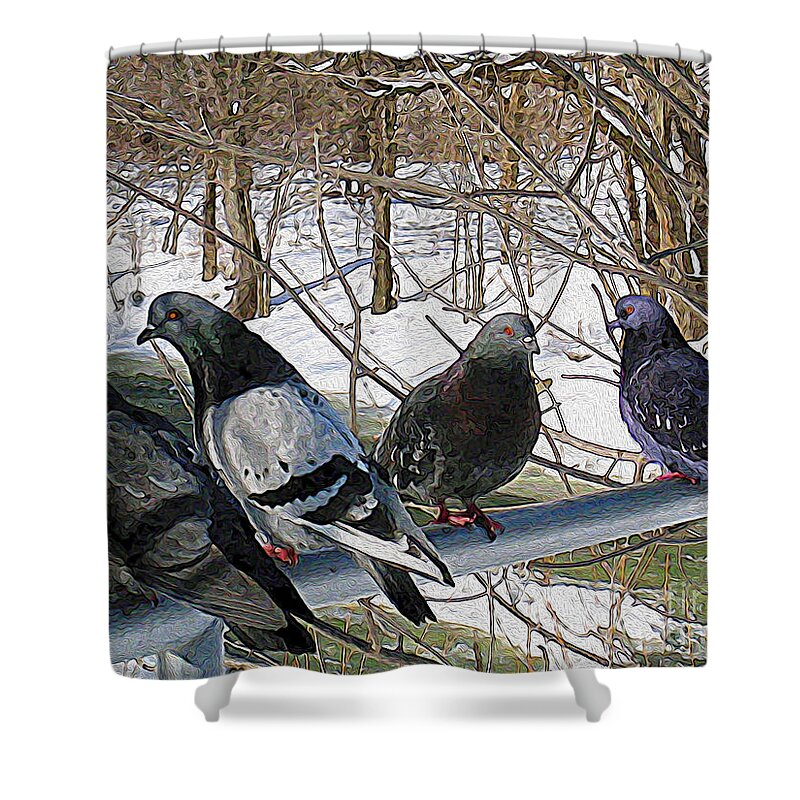 Birds Shower Curtain featuring the photograph Winter Pigeon Party by Nina Silver