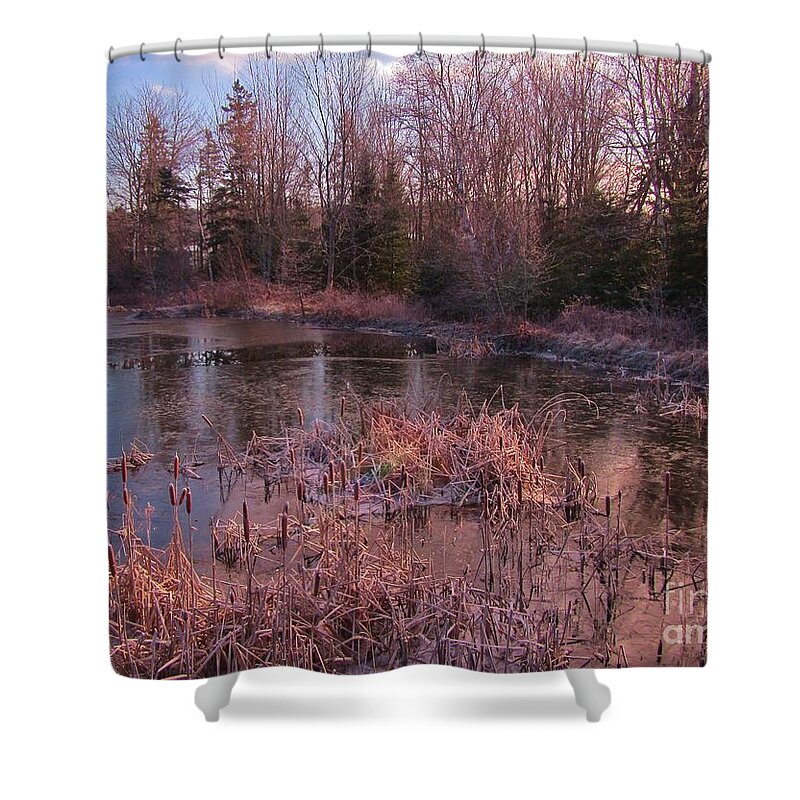 Winter Pond Landscape Shower Curtain featuring the photograph Winter Pond Landscape by John Malone